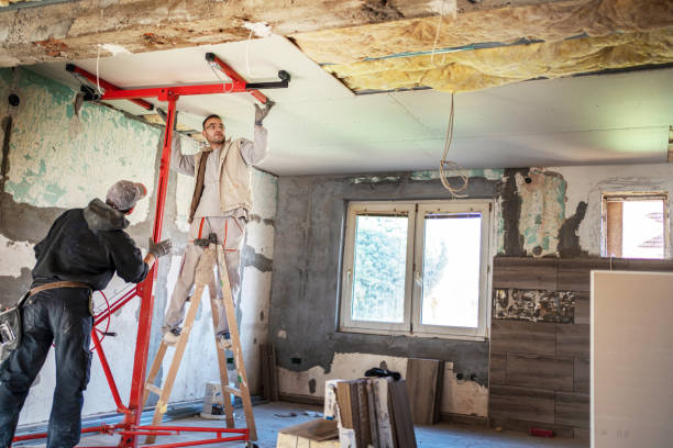 Best Cellulose Insulation in Kettle Falls, WA